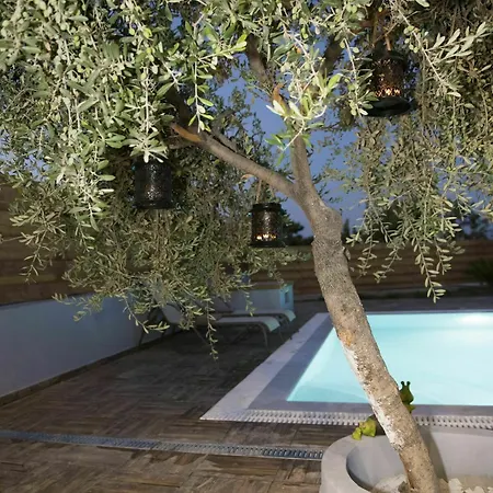 Sperveri Enalio Kolymbia